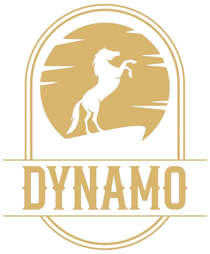 Dynamo F&B Brands Private Limited